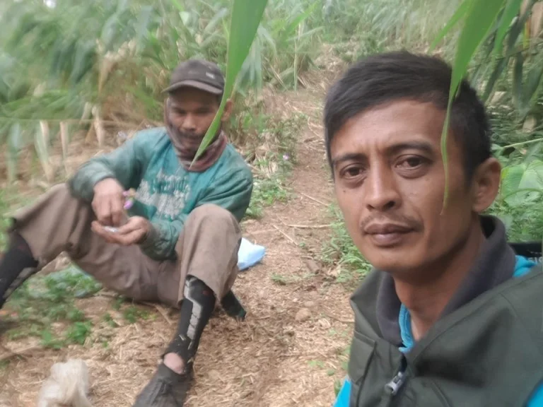 Perhutani Nyata Menjaga Getah dari Pohon RPH Picung hingga Timbangan