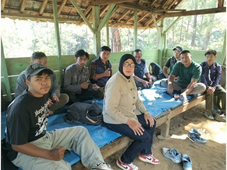 Perkuat Produktivitas Getah Pinus